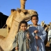 market_camel_embaba_cai_v_0048_egy0311.jpg